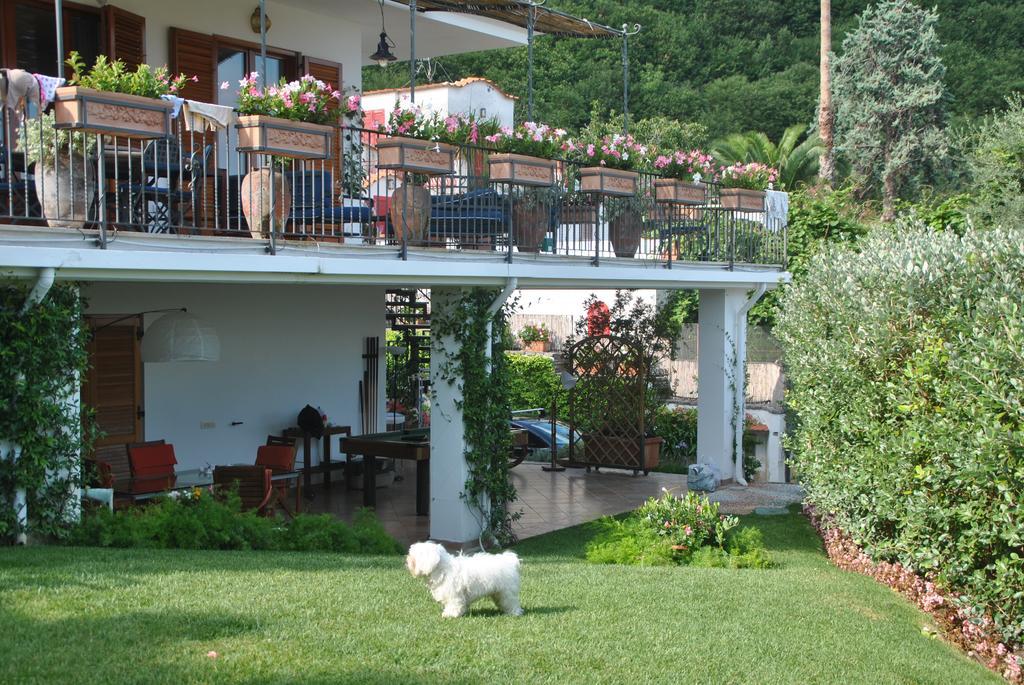 Casa Vacanze Villa Antonella By Gocce Vico Equense Exterior photo